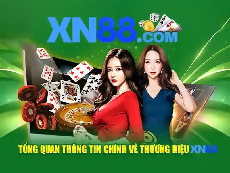 Tổng quan về chính sách bảo mật và an toàn thông tin tại nhà cái XN88